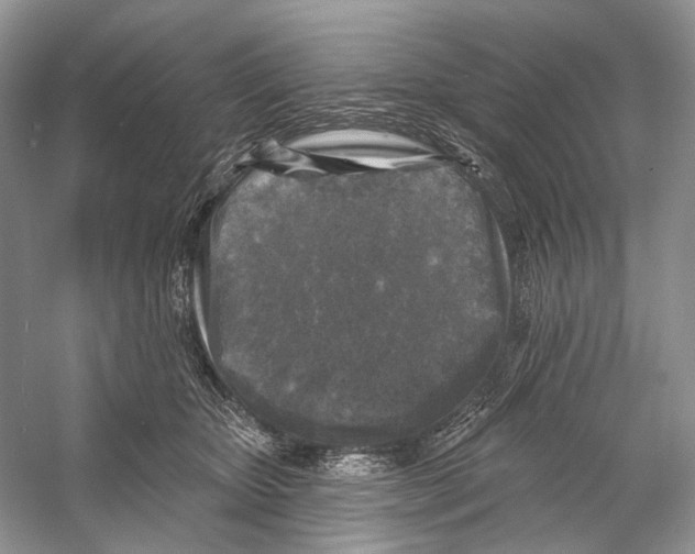 X0000053120467200508081256