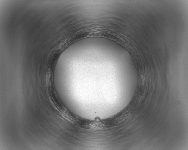 X0000053120468200508081256