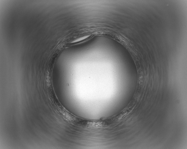 X0000053120469200508081256