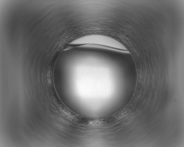 X0000053120470200508081256