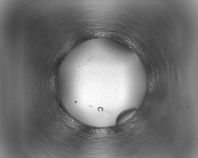 X0000053120473200508081256