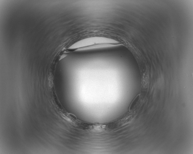 X0000053120474200508081256