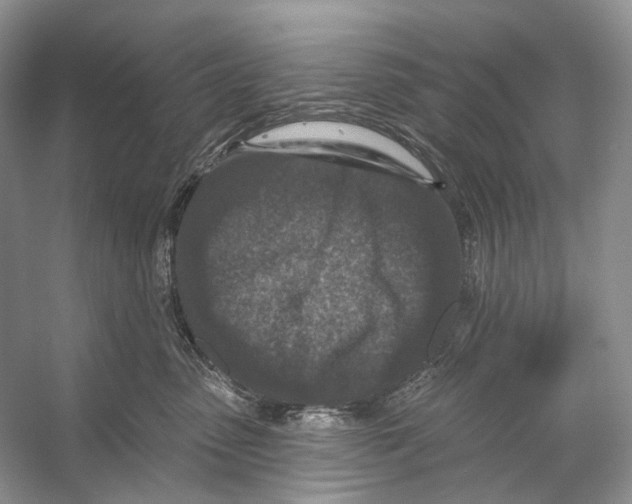 X0000053120475200508081256