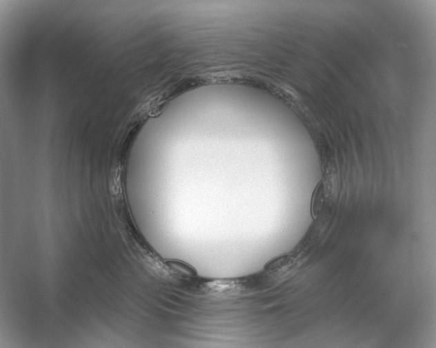 X0000053120477200508081256