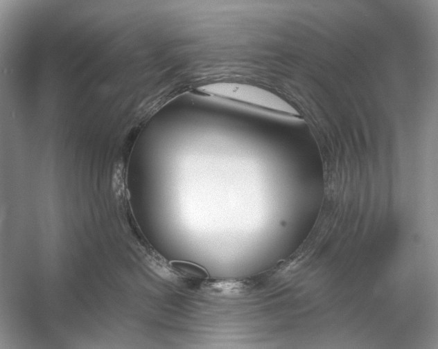 X0000053120478200508081256