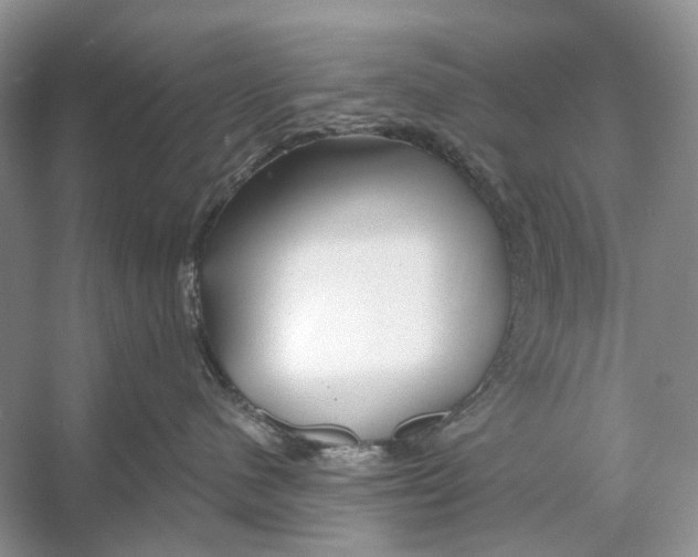 X0000053120480200508081256