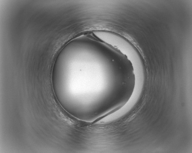 X0000053120481200508081256