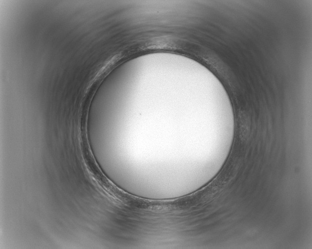 X0000053120482200508081256