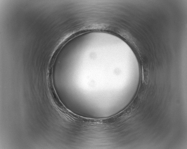 X0000053120483200508081255