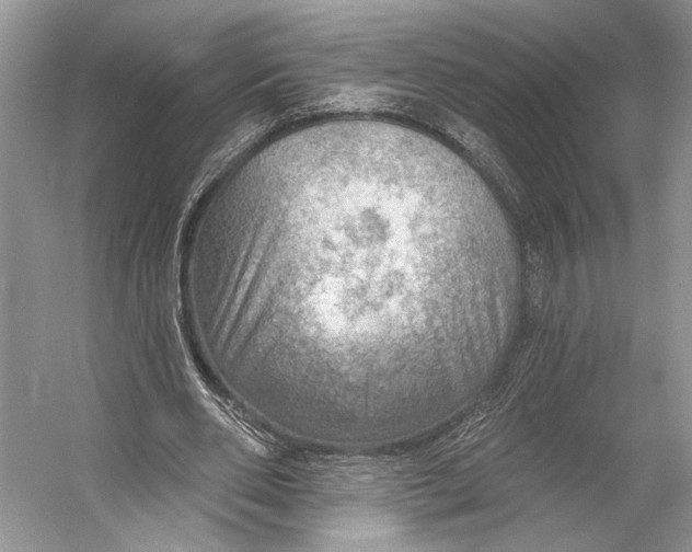 X0000053120486200508081255