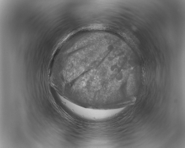 X0000053120487200508081255