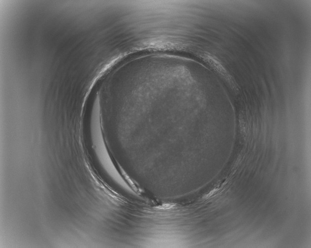 X0000053120488200508081255