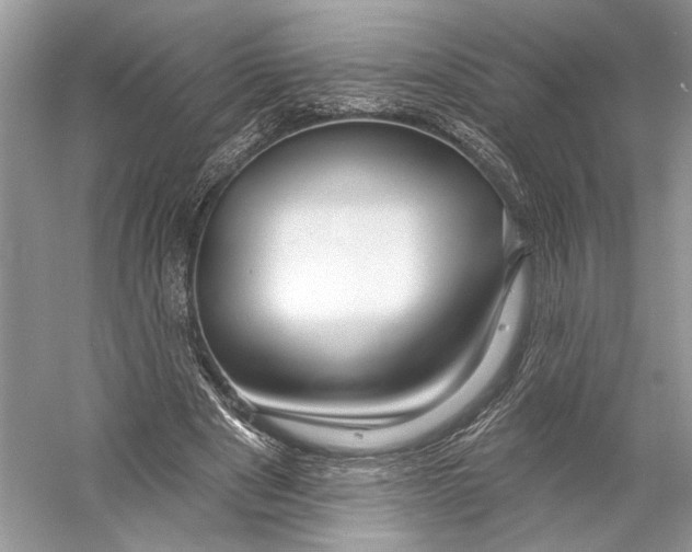 X0000053120489200508081255