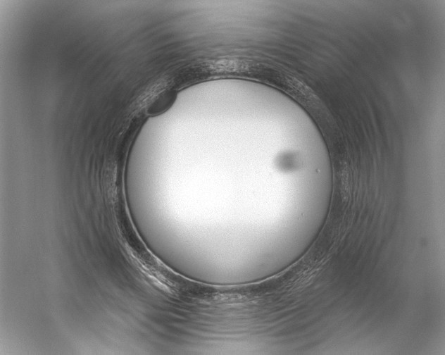 X0000053120490200508081255