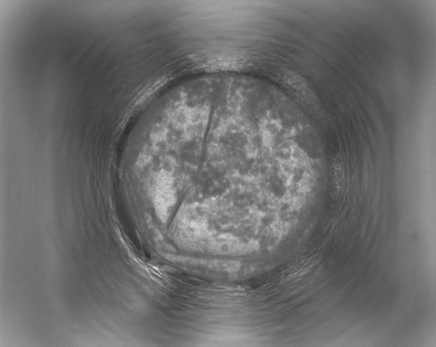 X0000053120491200508081255