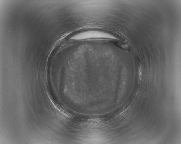 X0000053120492200508081255