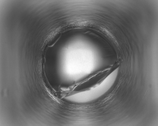 X0000053120493200508081255