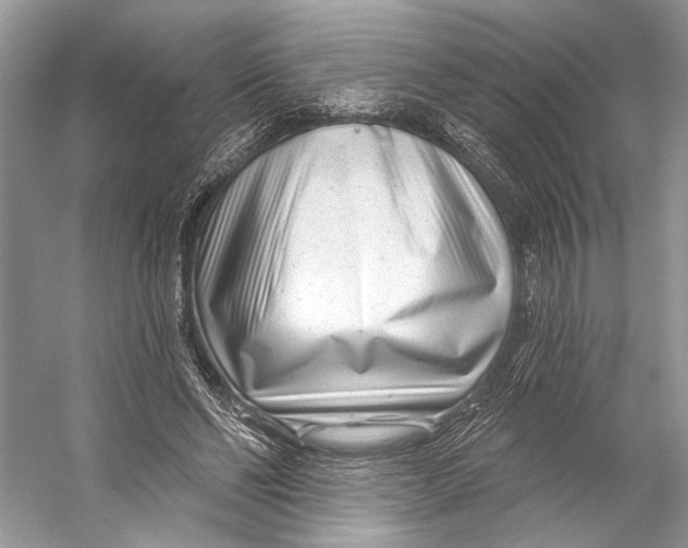 X0000053120494200508081255