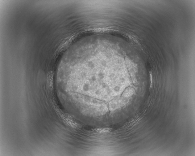 X0000053120495200508081255