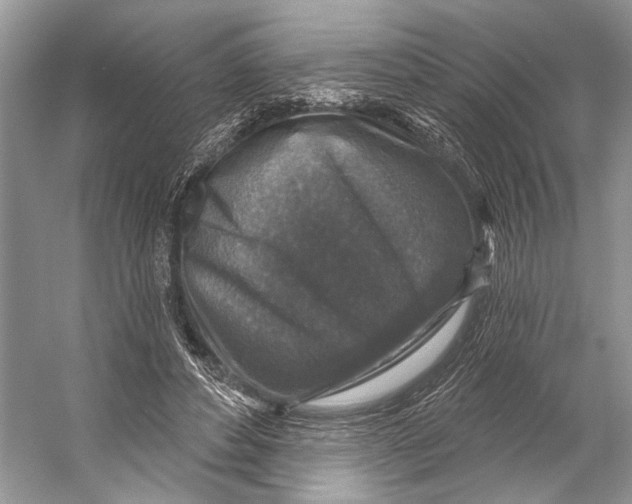 X0000053120496200508081255