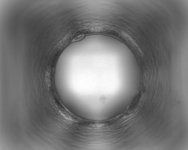 X0000053120497200508081255