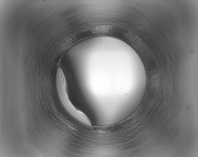 X0000053120498200508081255