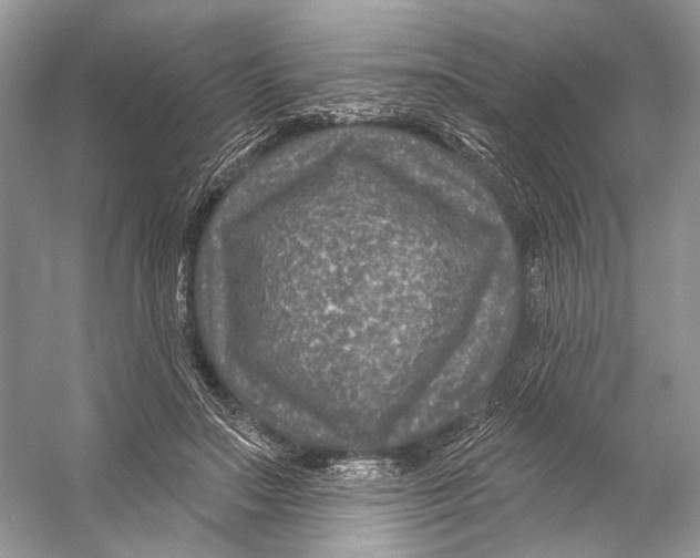 X0000053120499200508081255