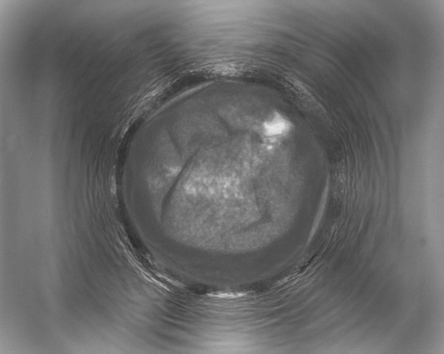 X0000053120500200508081255