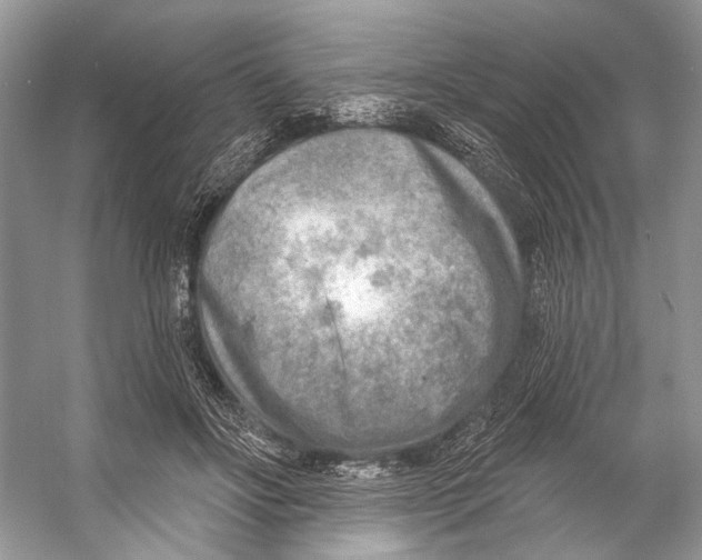 X0000053120502200508081255