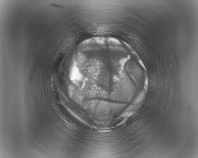 X0000053120503200508081255