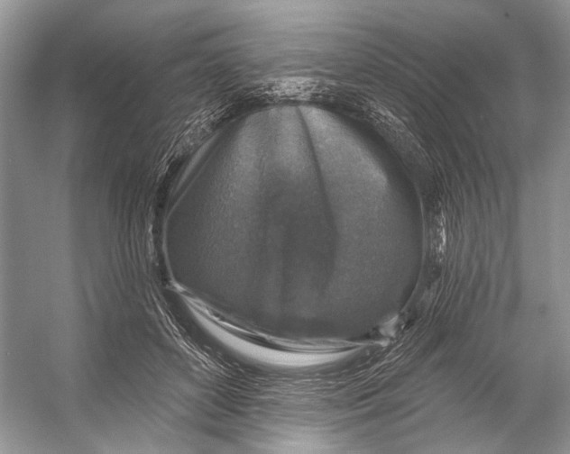 X0000053120504200508081255