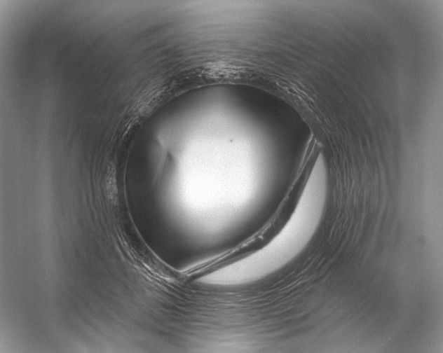 X0000053120508200508081255