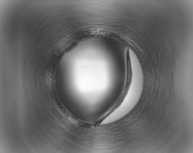 X0000053120513200508081255