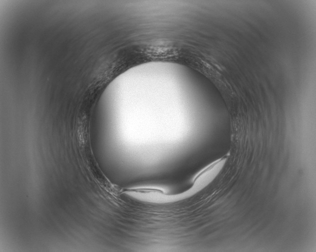 X0000053120515200508081255