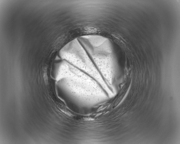 X0000053120516200508081255