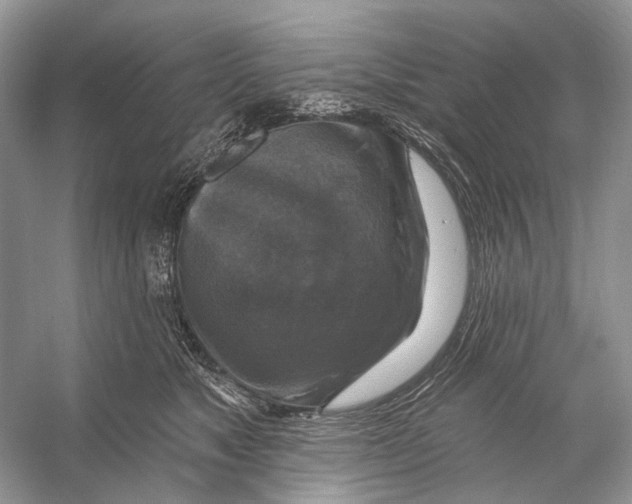 X0000053120517200508081255