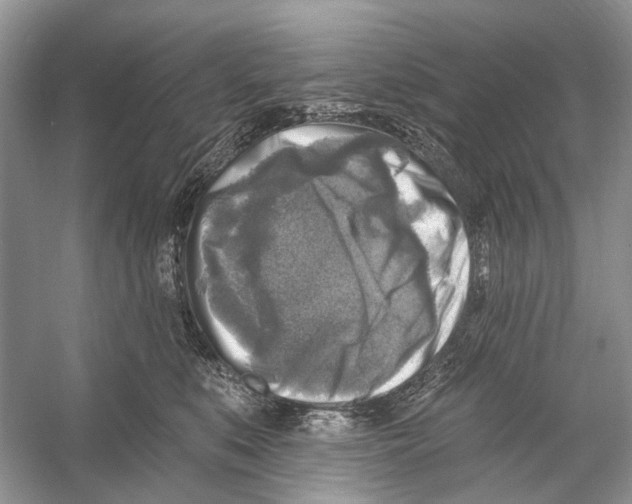 X0000053120519200508081255