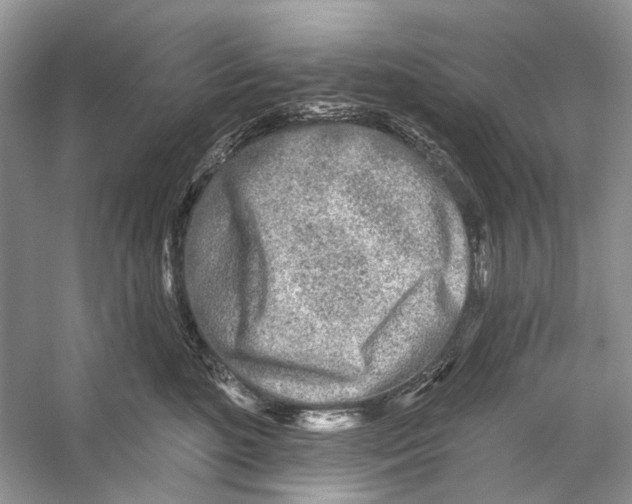 X0000053120520200508081255