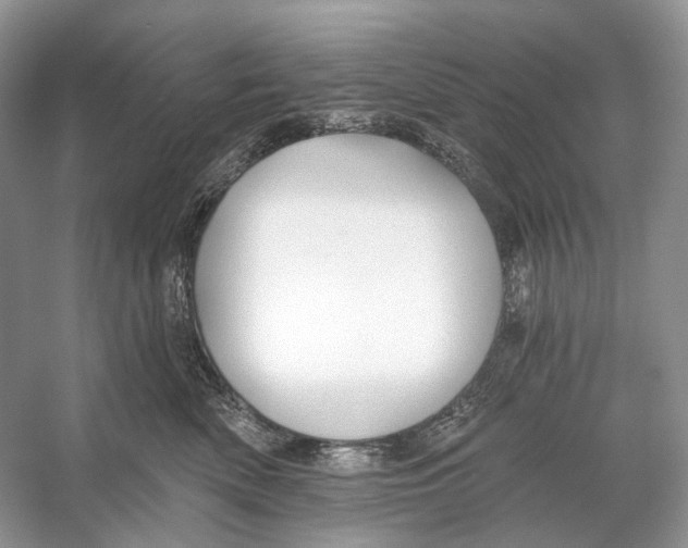 X0000053120522200508081255