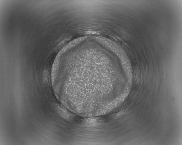 X0000053120523200508081255