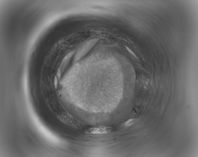 X0000053120524200508081255