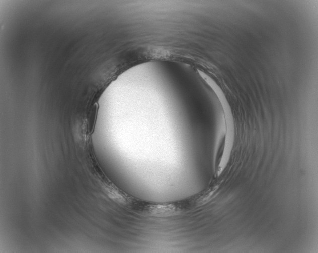 X0000053120525200508081255