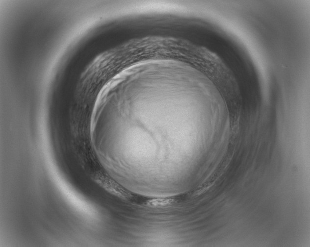 X0000053120526200508081255