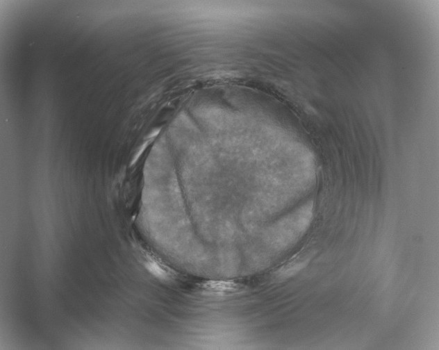 X0000053120528200508081255