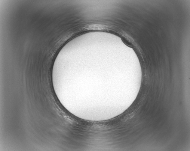 X0000053120529200508081254