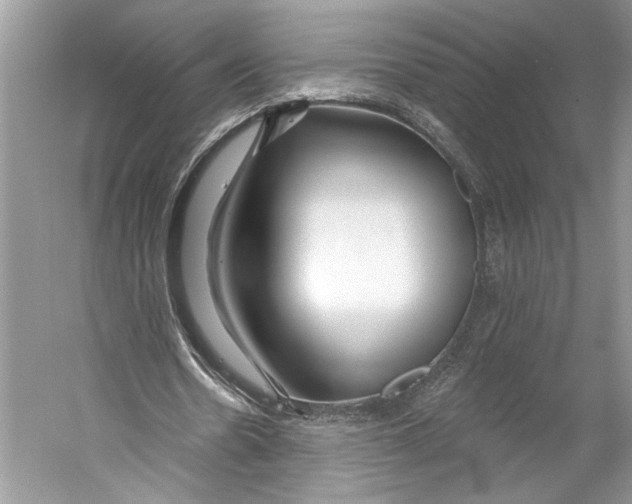 X0000053120530200508081254