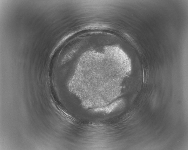 X0000053120531200508081254