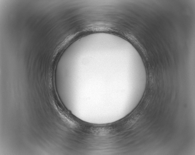 X0000053120533200508081254