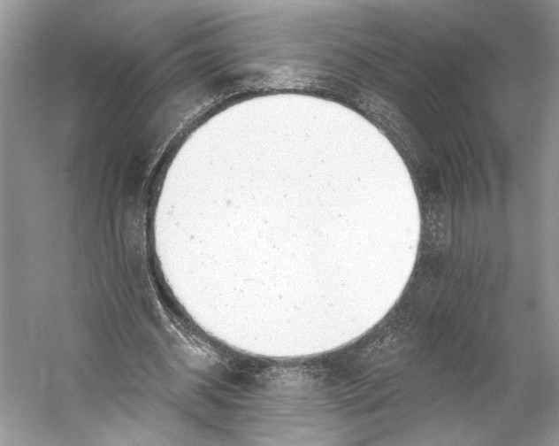 X0000053120534200508081254