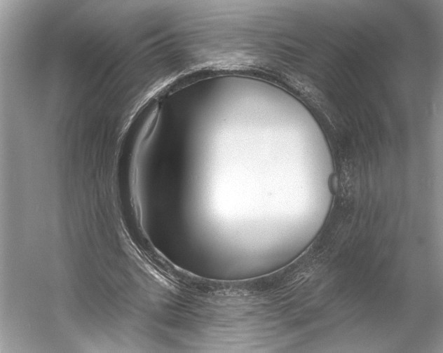 X0000053120535200508081254